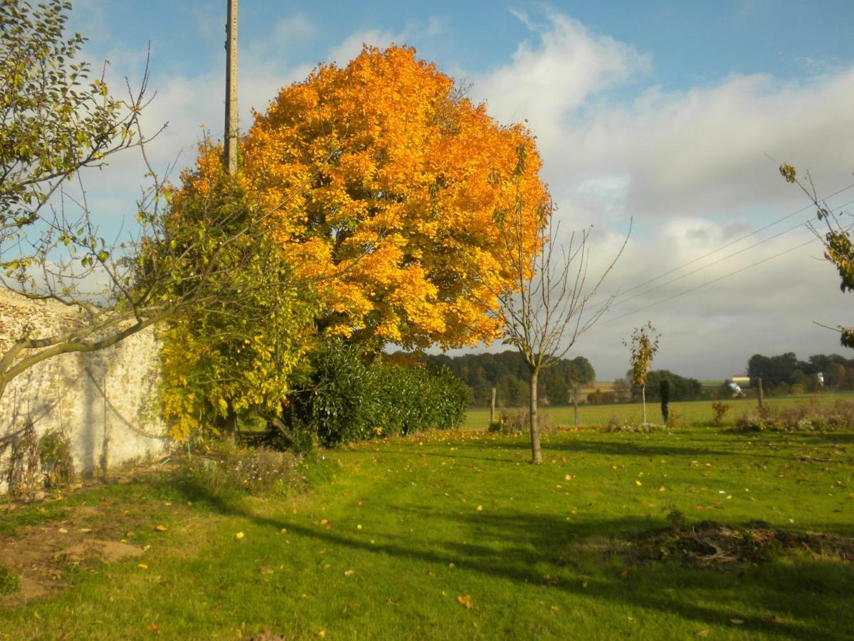 La Ferme Le Merger Bed and Breakfast La Ferté-Gaucher Εξωτερικό φωτογραφία