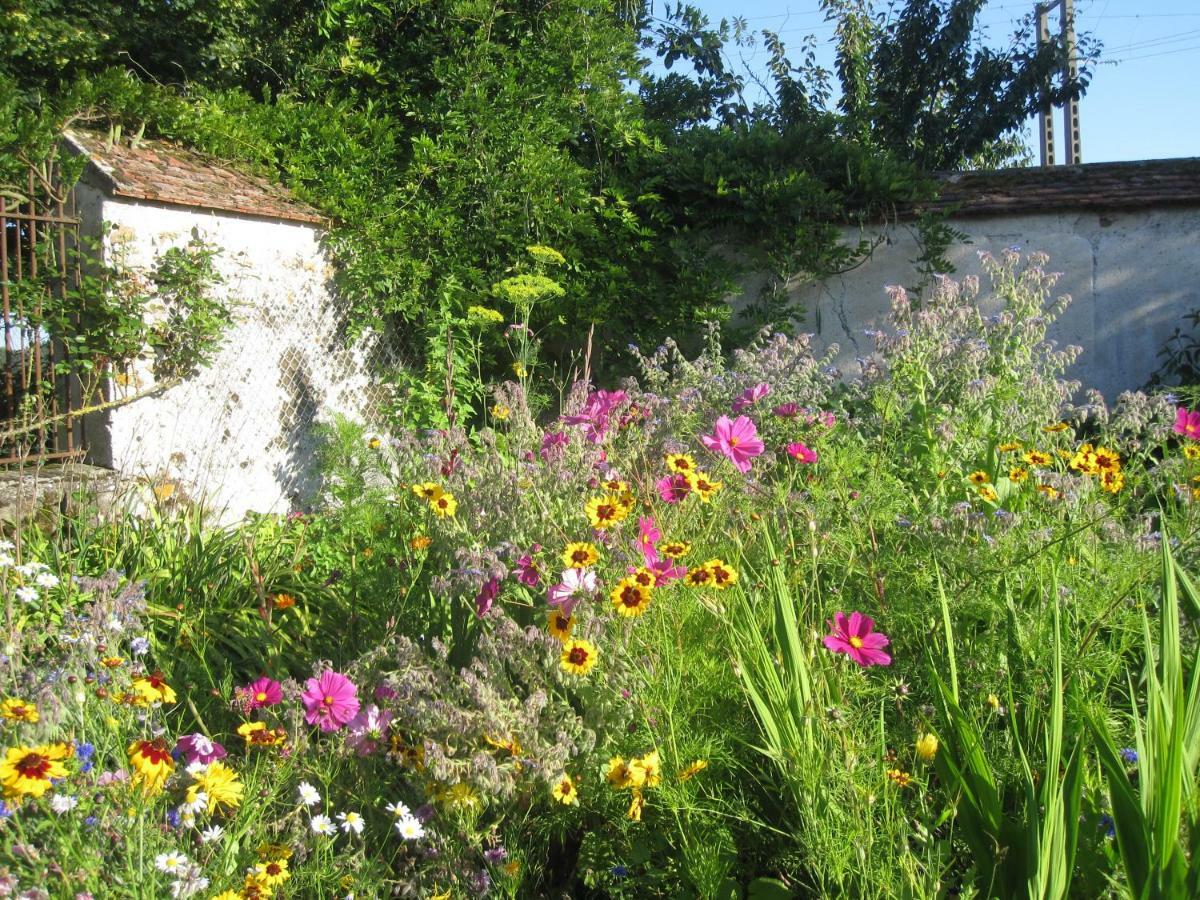La Ferme Le Merger Bed and Breakfast La Ferté-Gaucher Εξωτερικό φωτογραφία